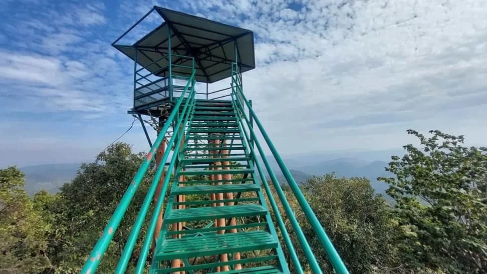 Forest canopy watchtower overlooking the rolling Maikal hills of Bhoramdeo Wildlife Sanctuary
