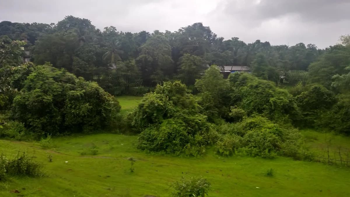 Scenic broad gauge railway tracks through lush green landscape representing the upcoming Kawardha rail corridor